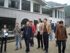 柳州市农业部门领导视察更香基地