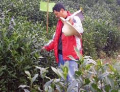 余仁和 &mdash;&mdash;白革新农民